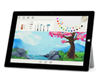 丹棱Surface 无法开启、Windows 无法启动或电池无法充电